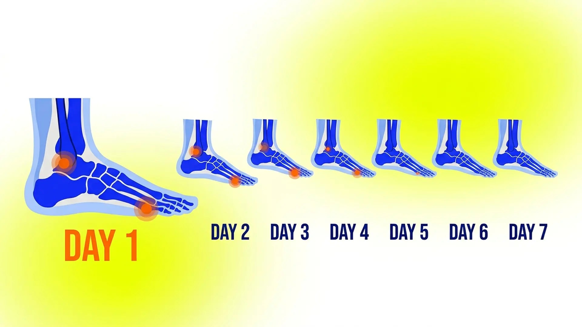 Vector timeline of a 7-day foot relief plan with milestones